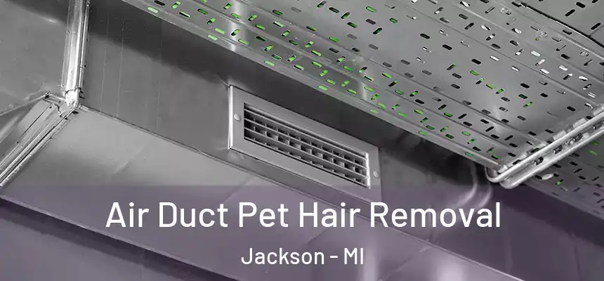 Air Duct Pet Hair Removal Jackson - MI