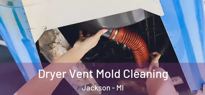 Dryer Vent Mold Cleaning Jackson - MI