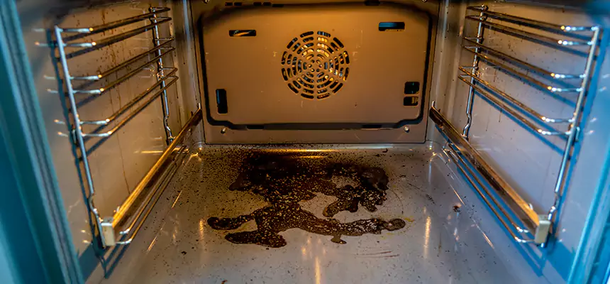 Our Dryer Vent Mold Cleaning Services in Jackson, MI