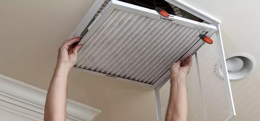 Our Insect Removal from Air Ducts Services in Jackson, MI