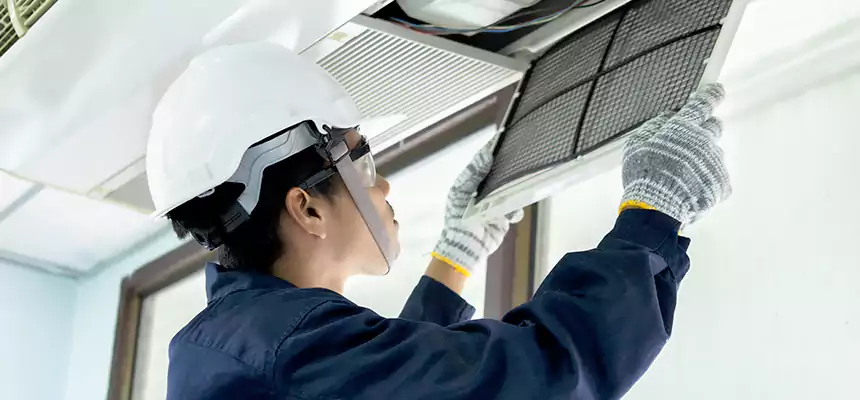 Our Mold & Mildew Removal from Air Ducts Services in Jackson, MI