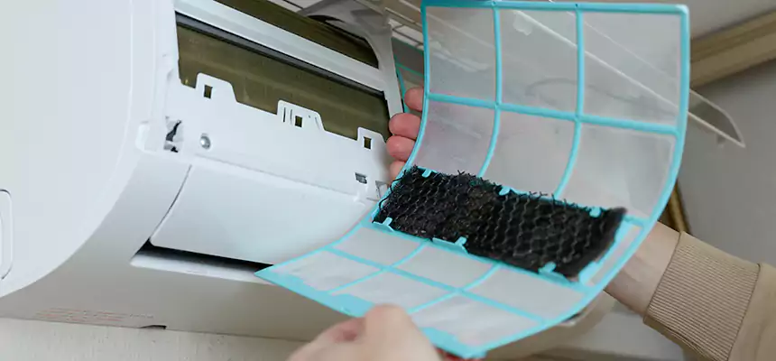 Gentle Ductwork Odor-Control Pet Dander Duct Cleaning in Jackson, MI