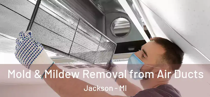 Mold & Mildew Removal from Air Ducts Jackson - MI