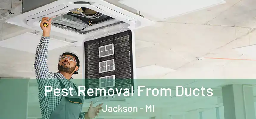  Pest Removal From Ducts Jackson - MI