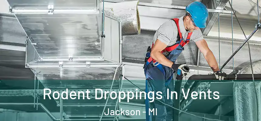 Rodent Droppings In Vents Jackson - MI