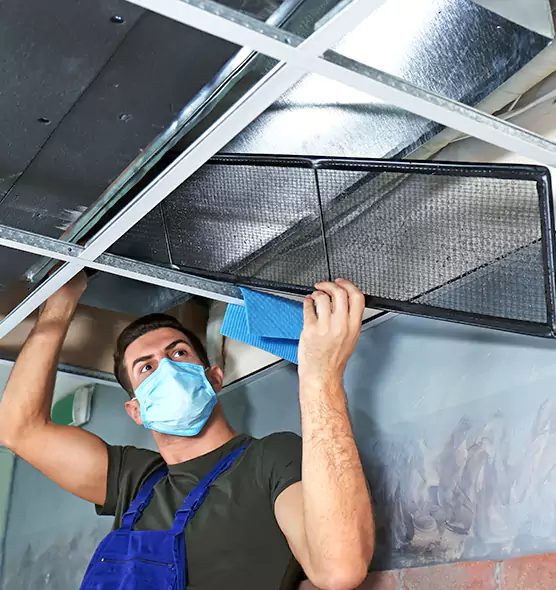 Professional Air Duct Pollen Cleaning in Jackson, MI