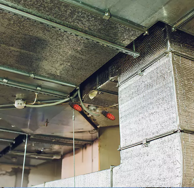 Why Homeowners & Businesses Trust Us in Jackson, MI?