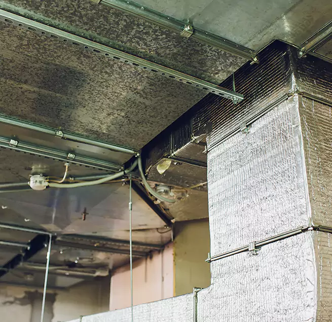 Why Homeowners & Businesses Trust Us in Jackson, MI?